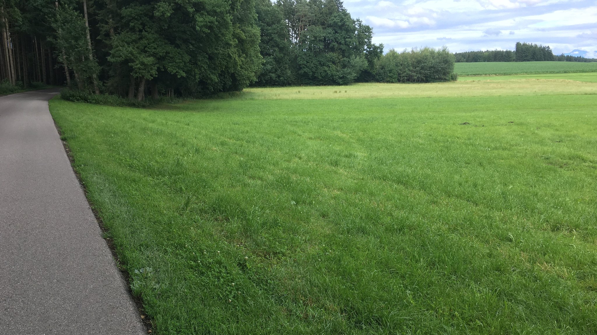 Auf dieser Wiese etwa 1 Kilometer außerhalb von Halfing soll die Bohrstelle entstehen.