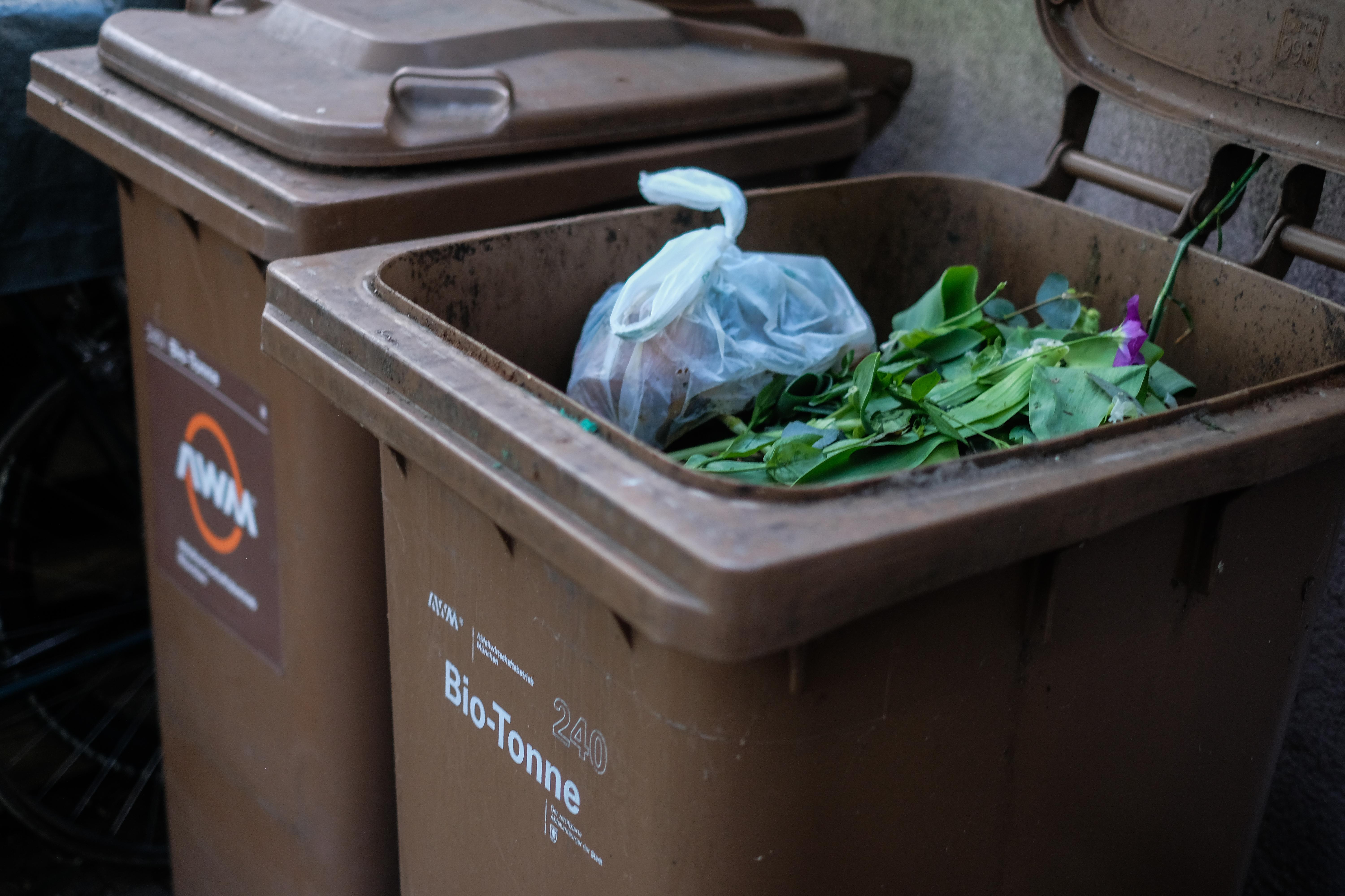 (Symbolbild) Biomüll in einer Bio-Tonne.