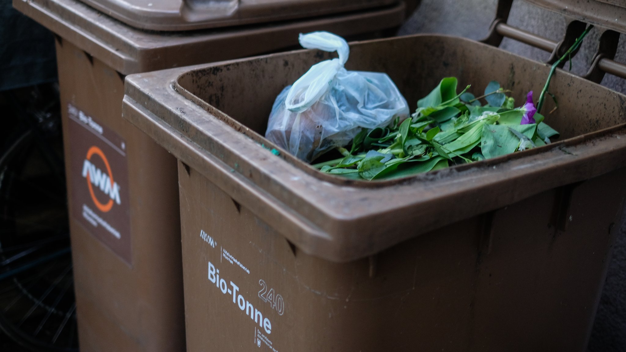 Biotonne reinigen: So bleibt sie hygienisch und madenfrei