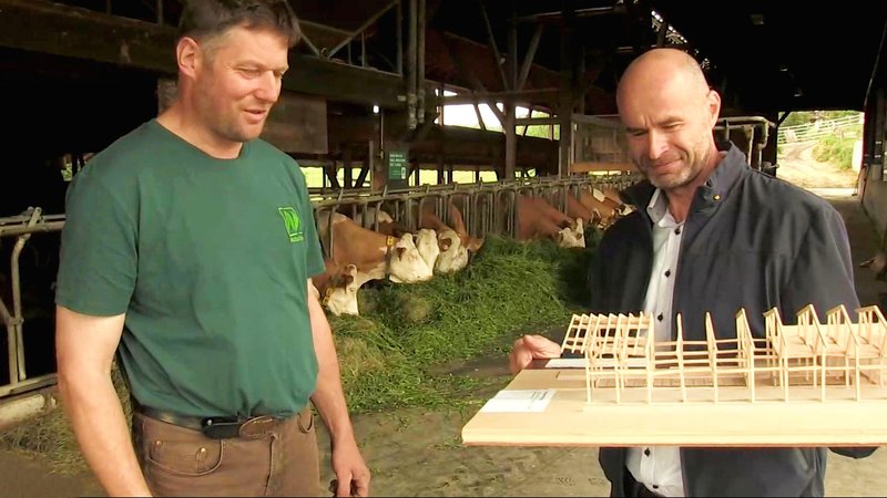 Die Klimaprognosen sagen es voraus: Die Anzahl der Hitzetage in Bayern wird steigen - und das hat nicht nur Auswirkungen auf den Menschen. Auch für Nutztiere, wie Kühe, wird die Hitze zur Belastung. Aber wie können Landwirte ihre Ställe umrüsten?