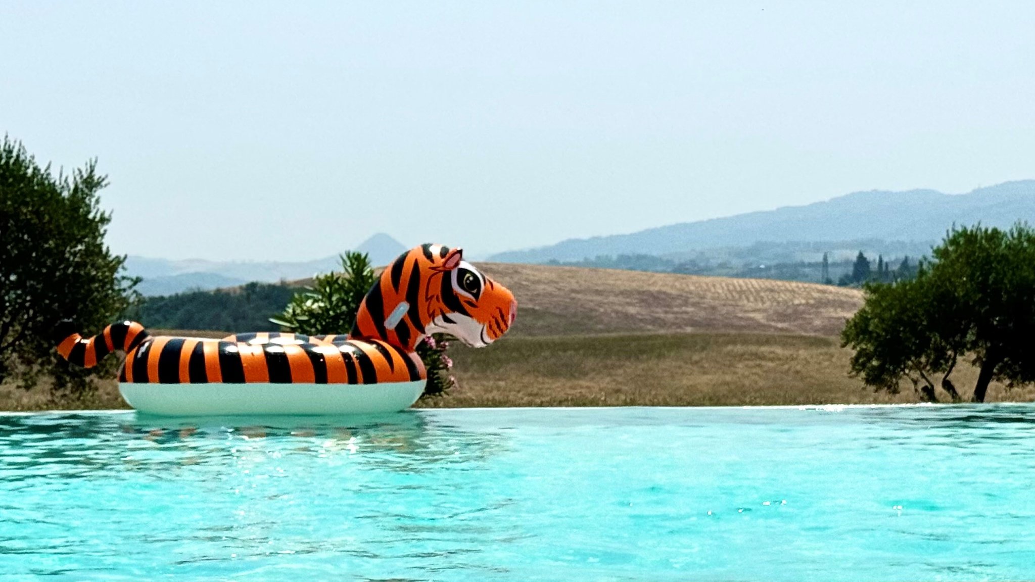 Aufblasbarer Tiger im Pool