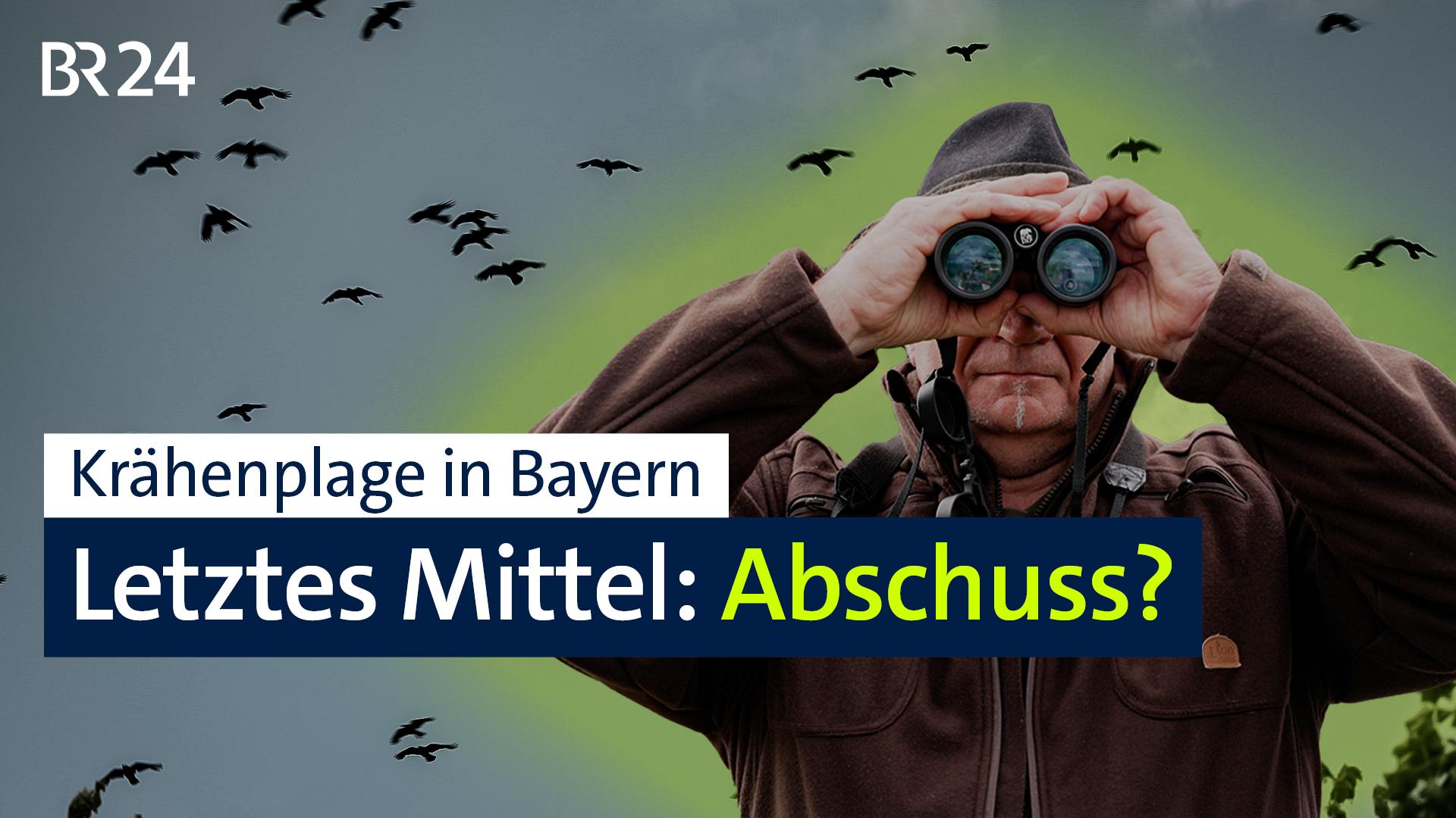 Collage: Jäger Robert Oberfrank schaut durch ein Fernglas in die Kamera, im Hintergrund fliegen Krähen. In großen Buchstaben steht der Titel des Films: Krähenplage in Bayern - Letztes Mittel: Abschuss?
