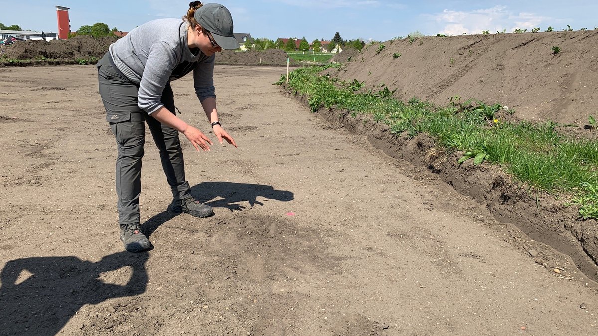 Eine Frau zeigt, an welcher Stelle die Räuber in Manching die wertvollen archäologischen Funde ausgegraben haben. Vor ihr ist nur mehr die wieder zugeschüttete Erde zu sehen.