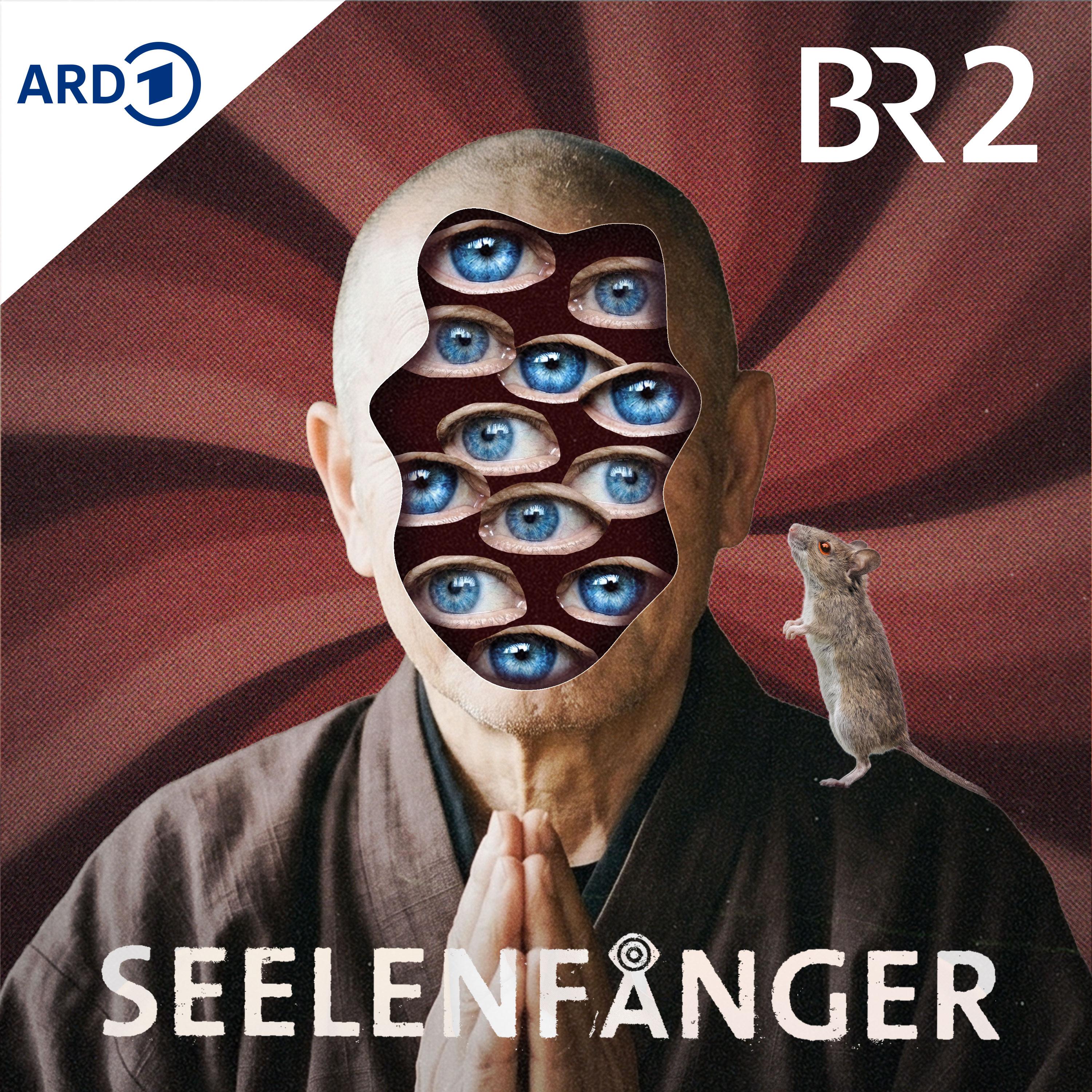 Seelenfänger cover