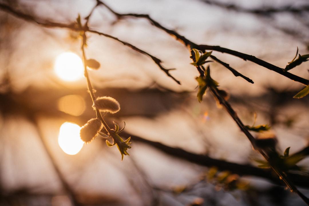 Verwaiste Eltern Trost In Grosster Trauer Br24