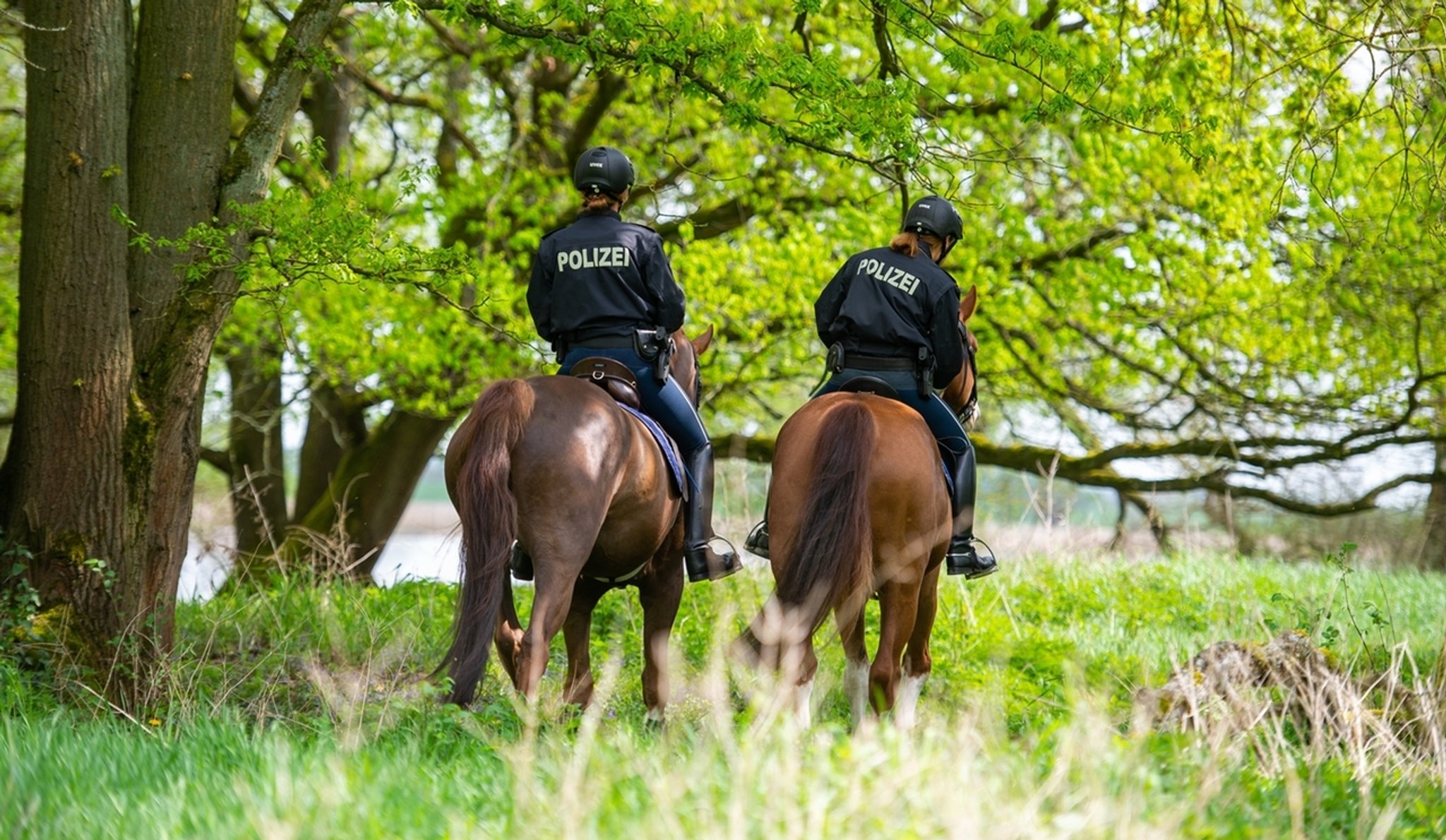 Söders umstrittener Ausbau der Polizei-Reiterstaffel