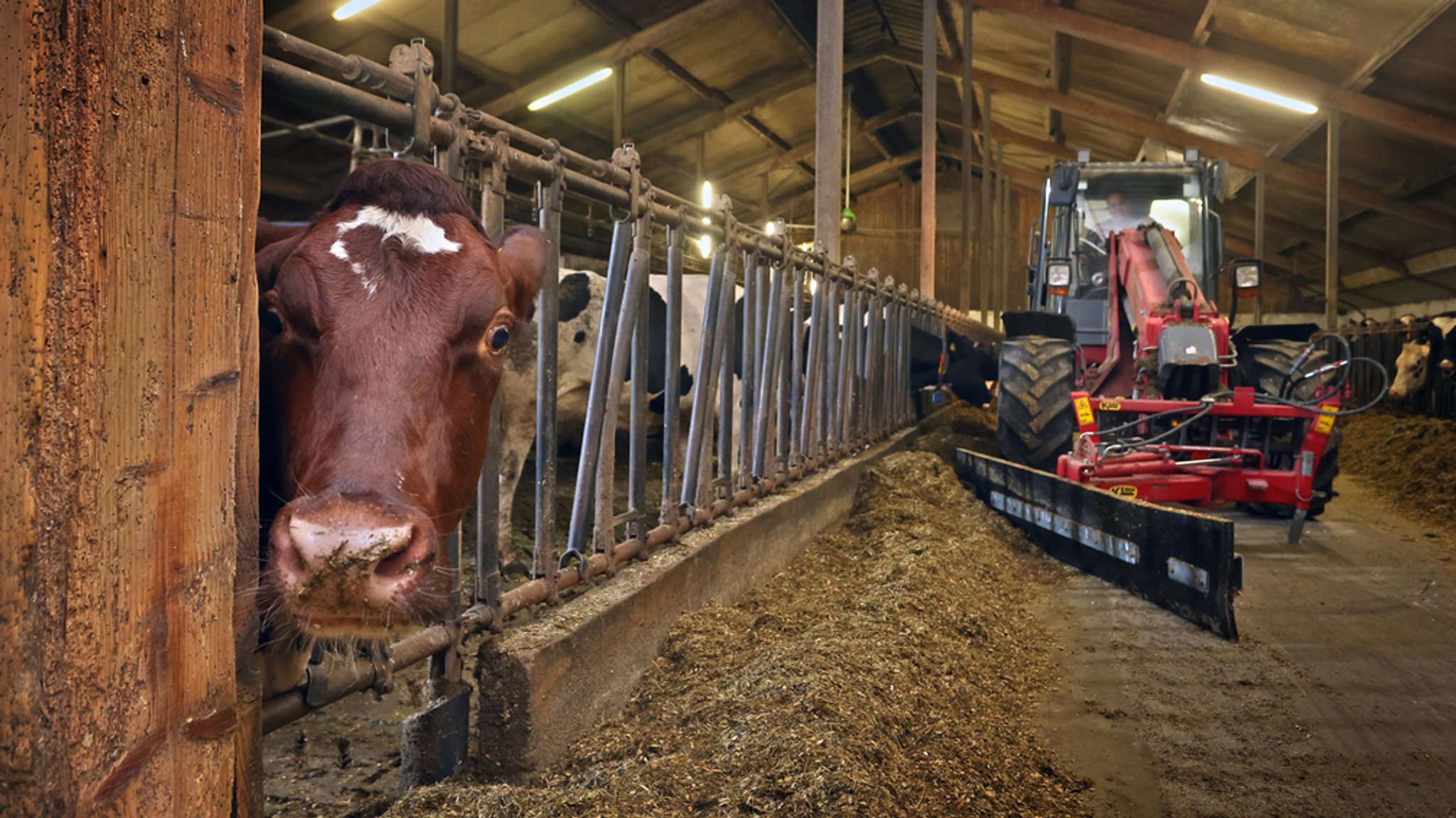 Noch immer hören viele Landwirte in Bayern auf