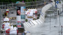 Helfer bauen Hochwasserstege und Schutzwände am Donauufer auf. | Bild:dpa-Bildfunk/Sven Hoppe
