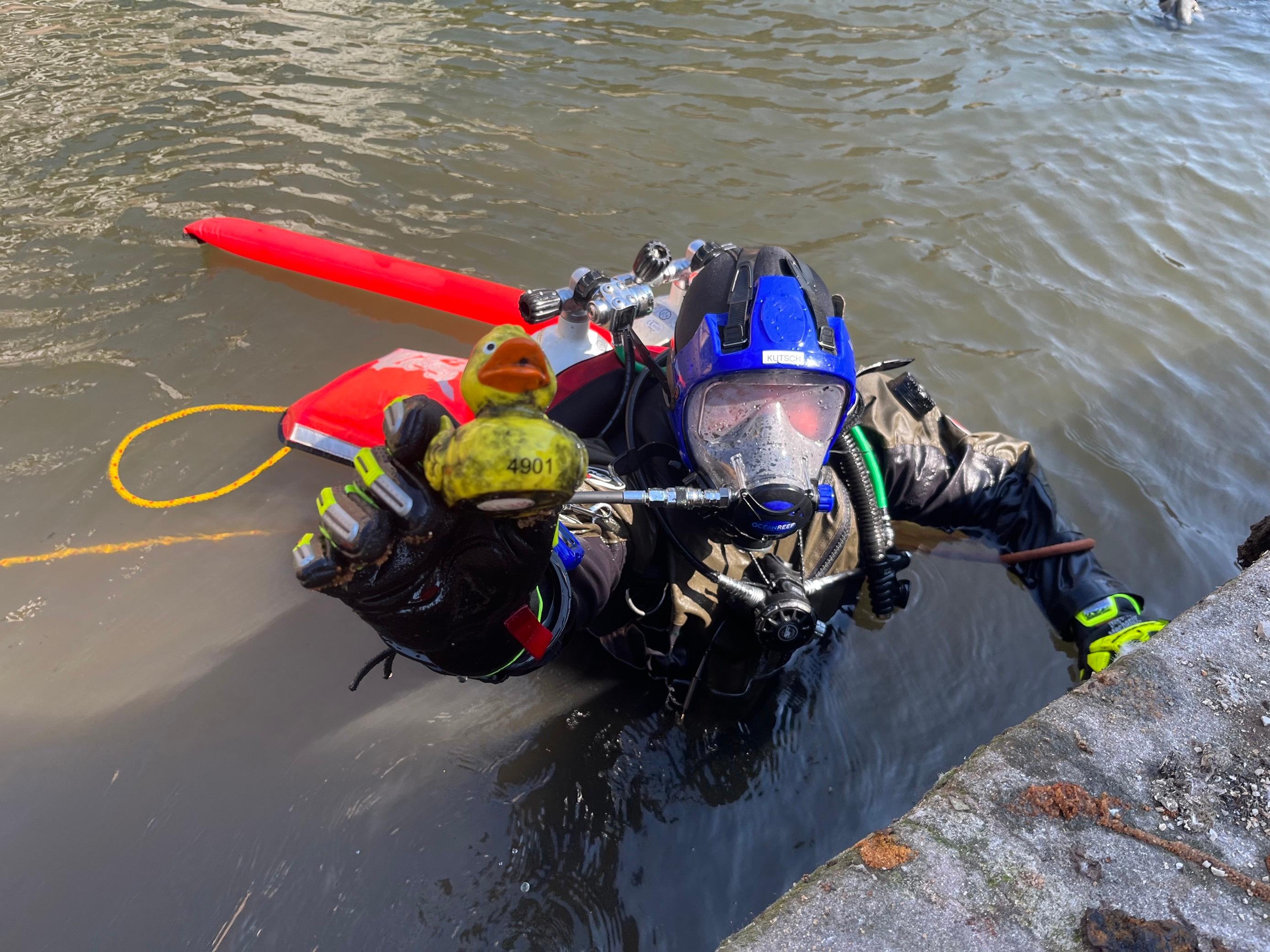 Taucher mit Badeente in der Nürnberger Pegnitz