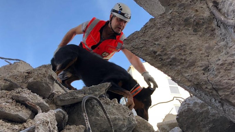 Rettungsübung: Ein Ersthelfer mit seinem Rettungshund suchen in Trümmern eines Gebäudes nach Verletzten.