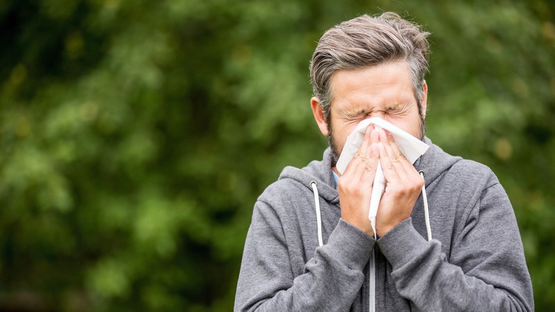 Ein Mann putzt sich die Nase mit einem weißen Taschentuch. | Bild: stock.adobe.com/Robert Kneschke Ein Mann putzt sich die Nase mit einem weißen Taschentuch.