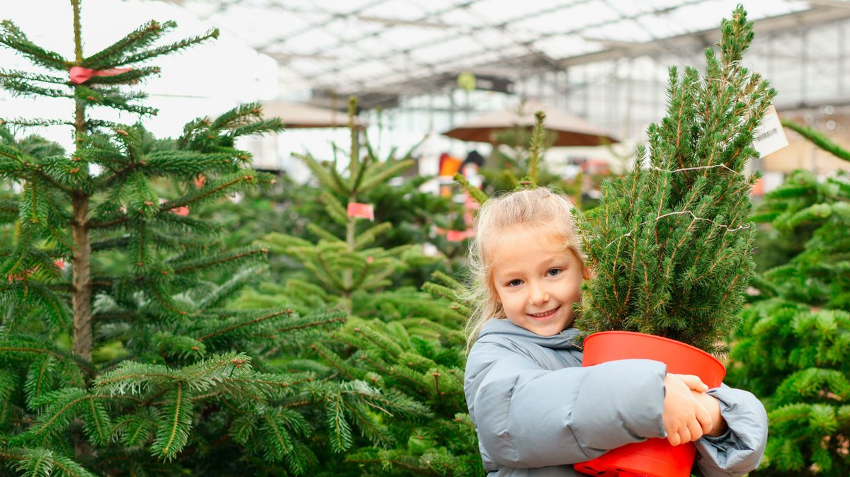 Ein Mädchen hält einen kleinen Christbaum im Topf im Arm vor einer Reihe Weihnachtsbäume in einem Gartencenter. | Bild: mauritius images / Kipgodi / Alamy / Alamy Stock Photos Ein Mädchen hält einen kleinen Christbaum im Topf im Arm vor einer Reihe Weihnachtsbäume in einem Gartencenter.