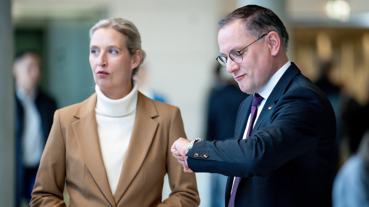 Zwischen Musk und Moskau: Die AfD im Ost-West-Konflikt