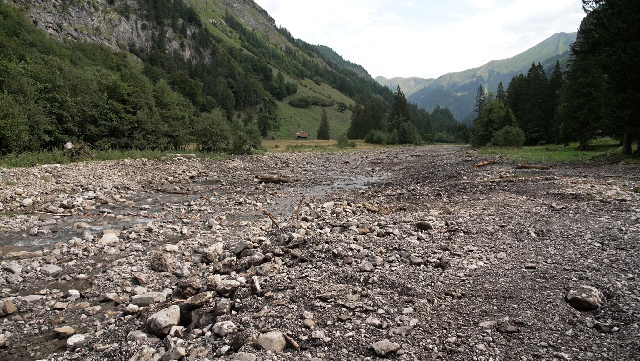 Schotter wurde in das Bachbett des Rappenalpbachs eingebracht, um die Gewässersohle weiter anzuheben. | Bild: Johannes Hofmann/ BR Schotter wurde in das Bachbett des Rappenalpbachs eingebracht, um die Gewässersohle weiter anzuheben.