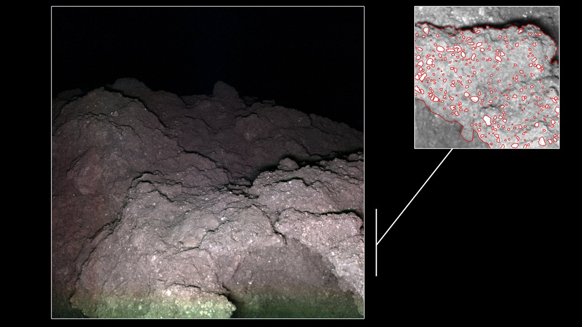 Auf dem Asteroiden Ryugu befinden sich unter anderem dunkle Brocken mit einer krümeligen, blumenkohlartigen Oberfläche mit Mineral-Einsprengseln.
