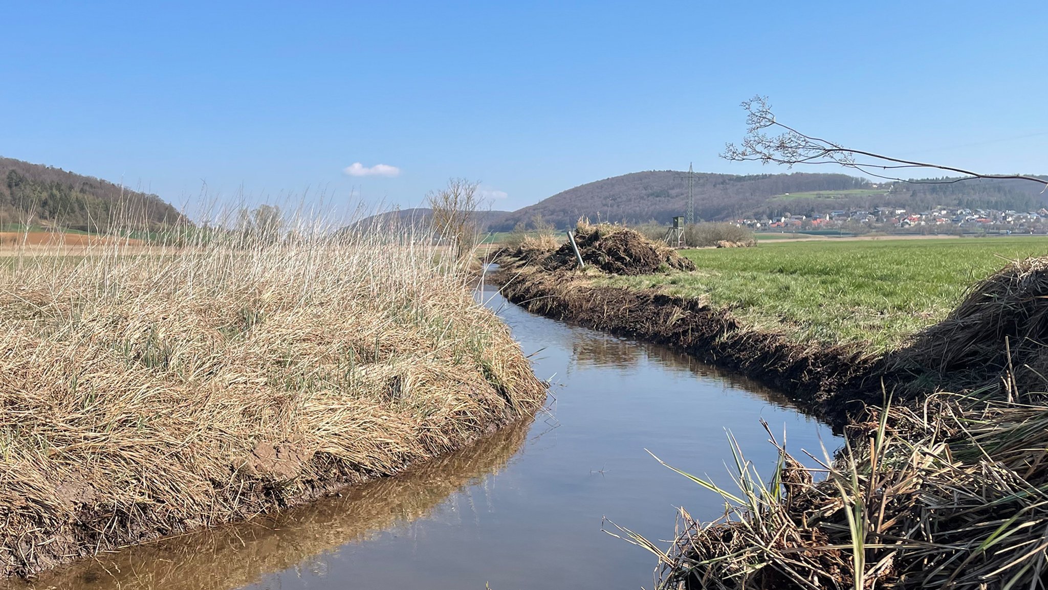 Fränkisches Naturschutzgebiet Schambachried - direkt daneben wurden wohl illegale Gräben gezogen.