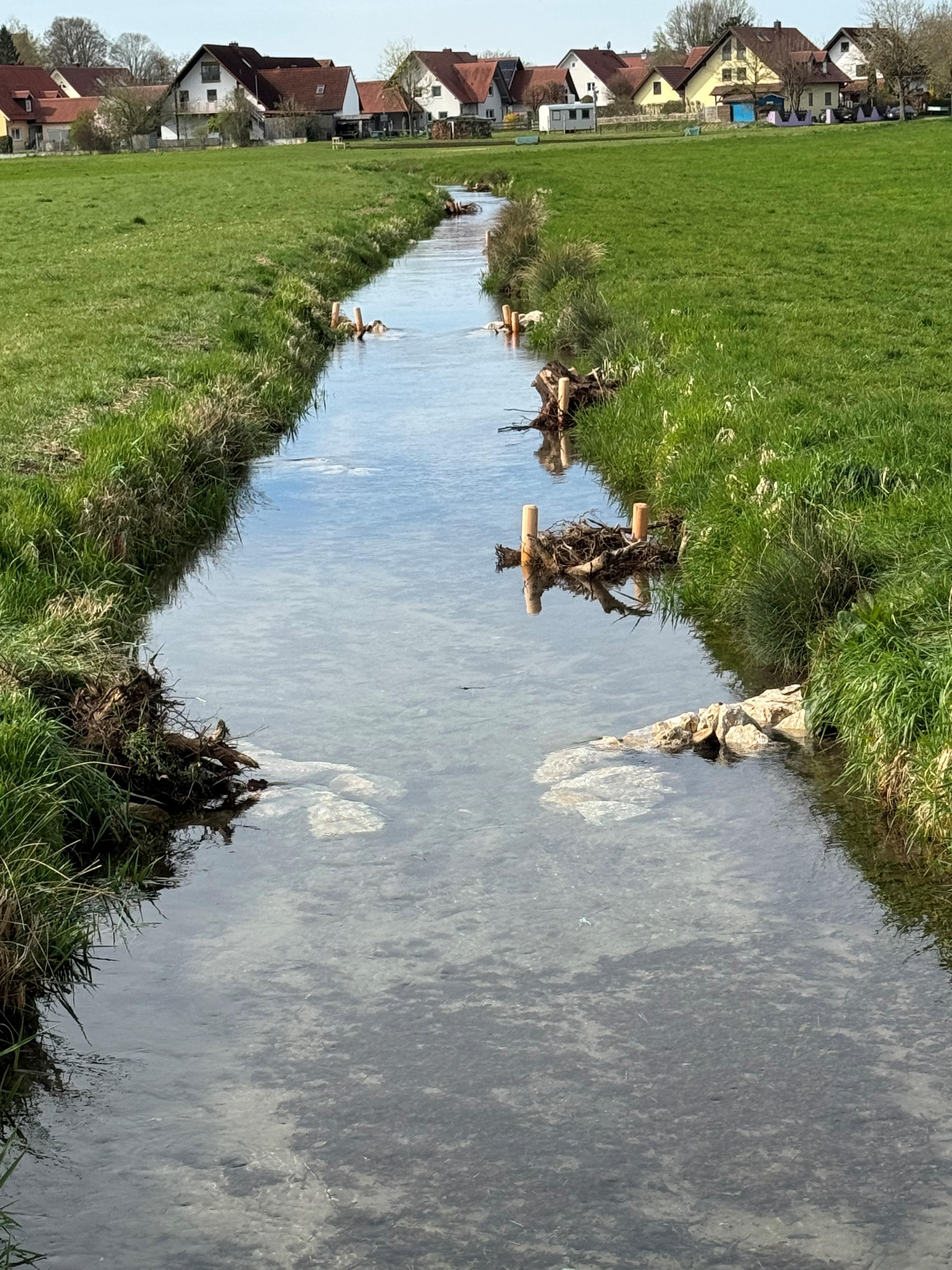 Renaturierungsmaßnahmen am Mühlbach in Scheuring