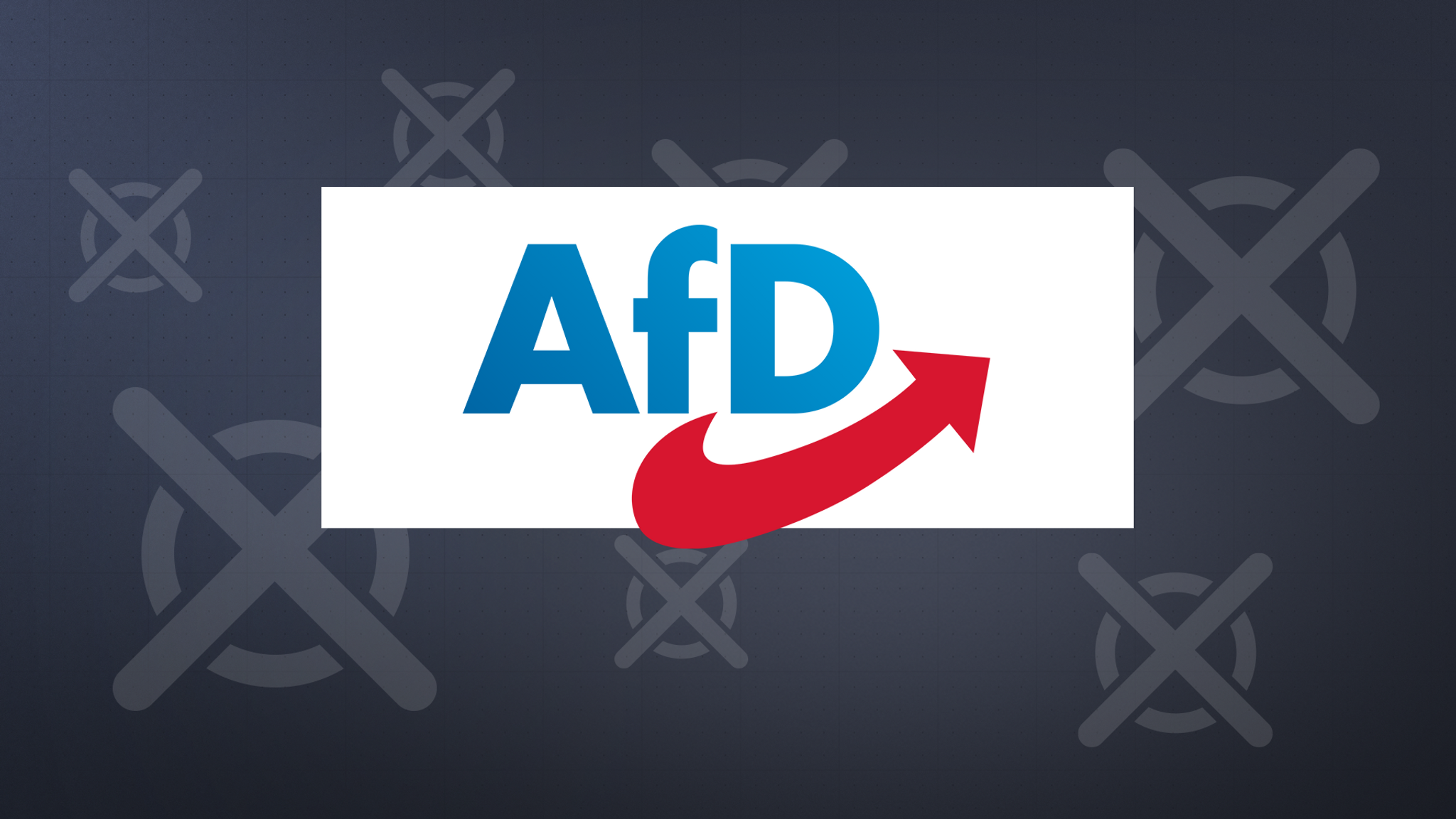 Europawahl: Das will die AfD