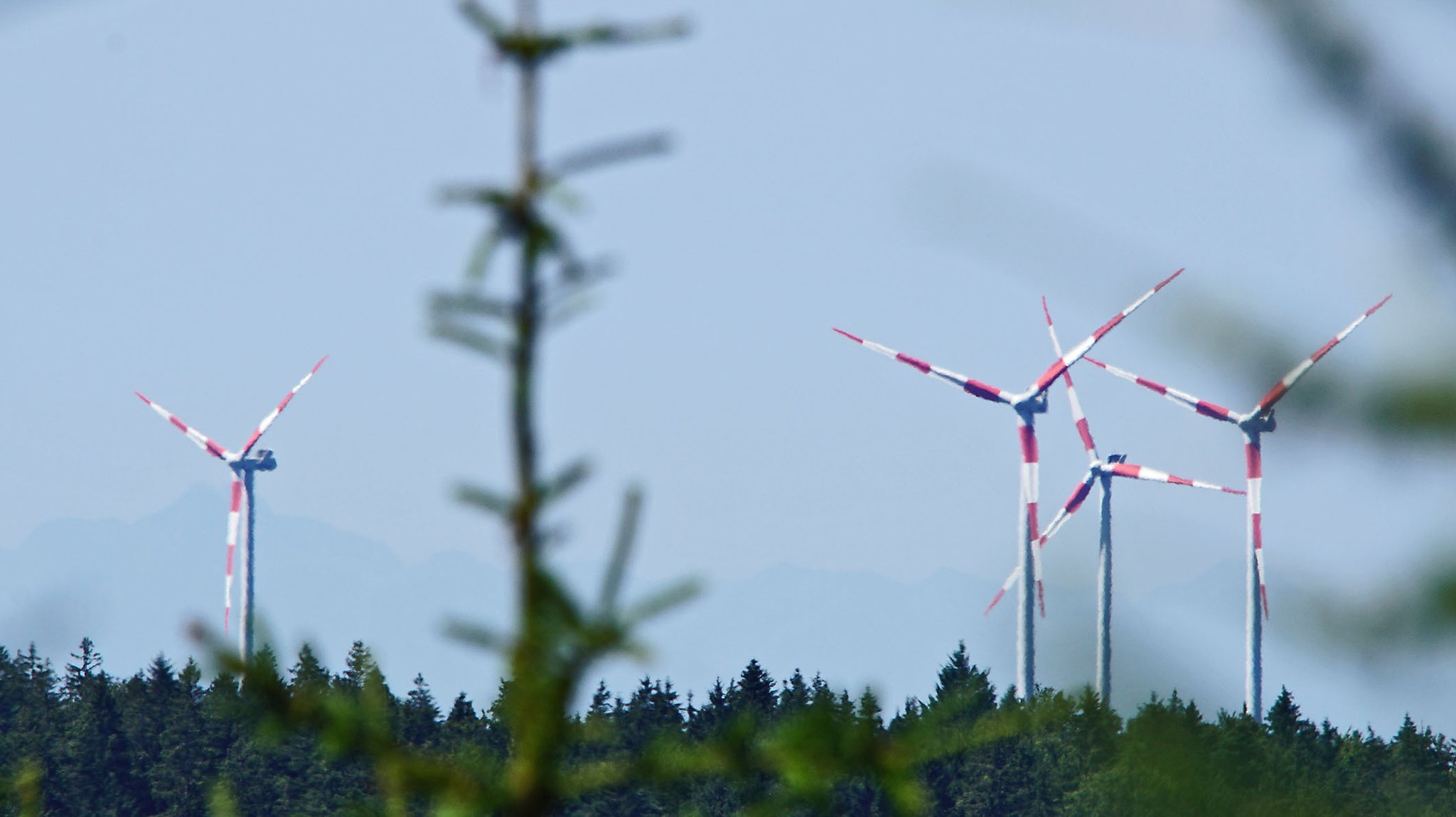 Windräder in einem Wald (Symbolbild)