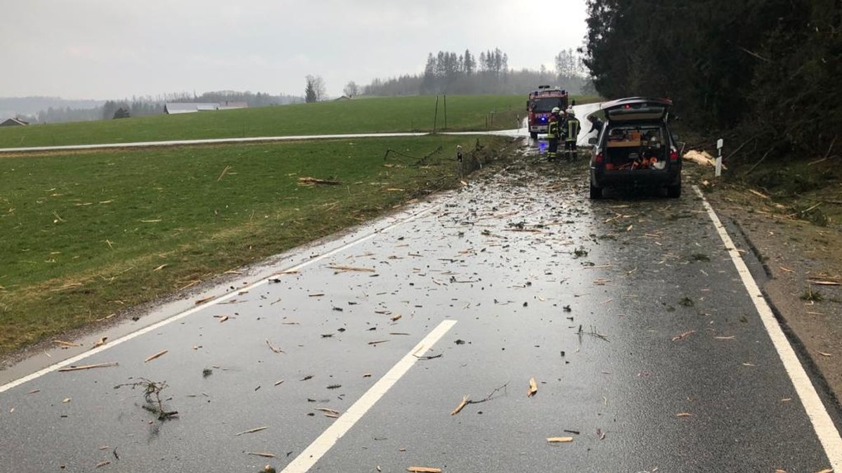 Baum "explodiert" nach Blitzeinschlag: Staatsstraße gesperrt 