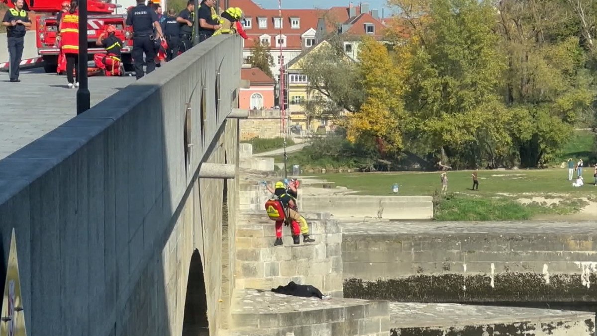 Ein Bild von dem Rettungseinatz auf der Steinernen Brücke.