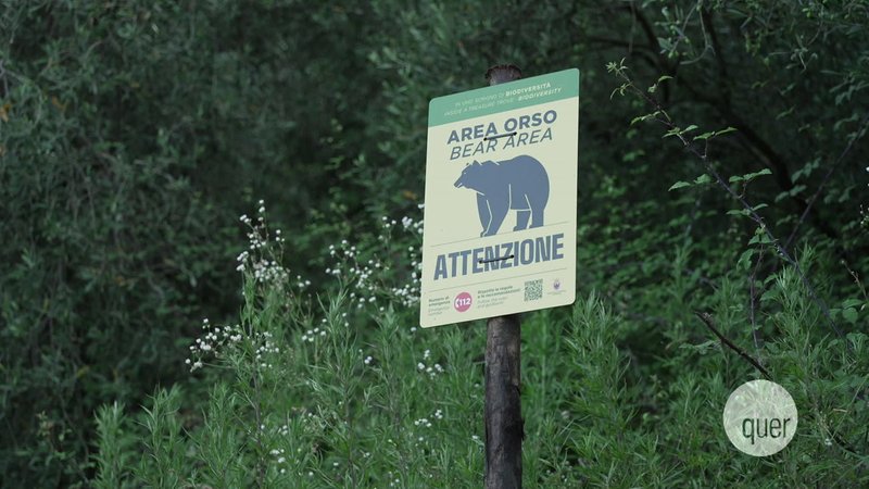 quer vom 25.07.2024 | Bild: BR quer vom 25.07.2024