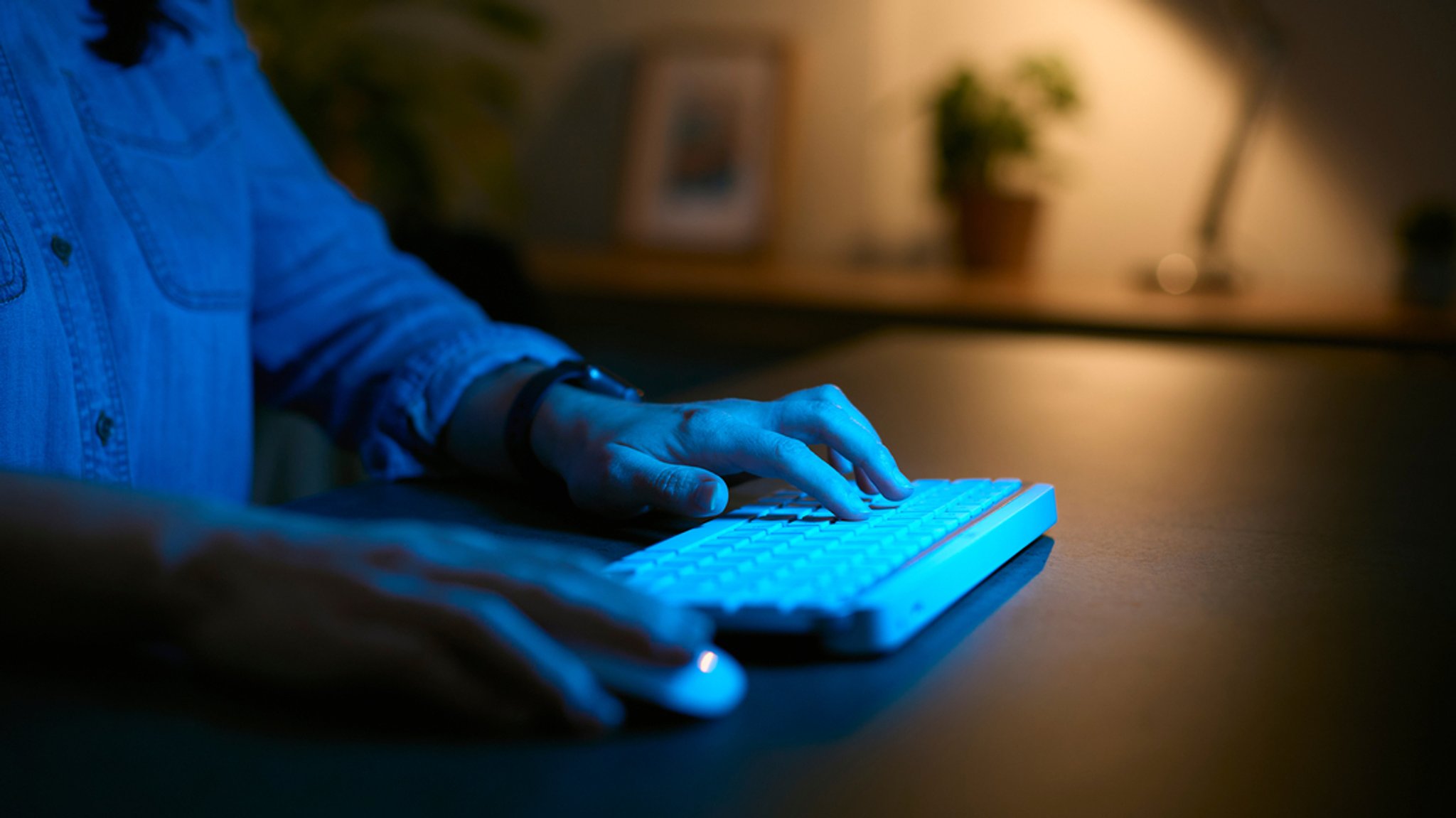 Eine Frau sitzt Abends vor dem Computer an ihrem Schreibtisch zuhause.