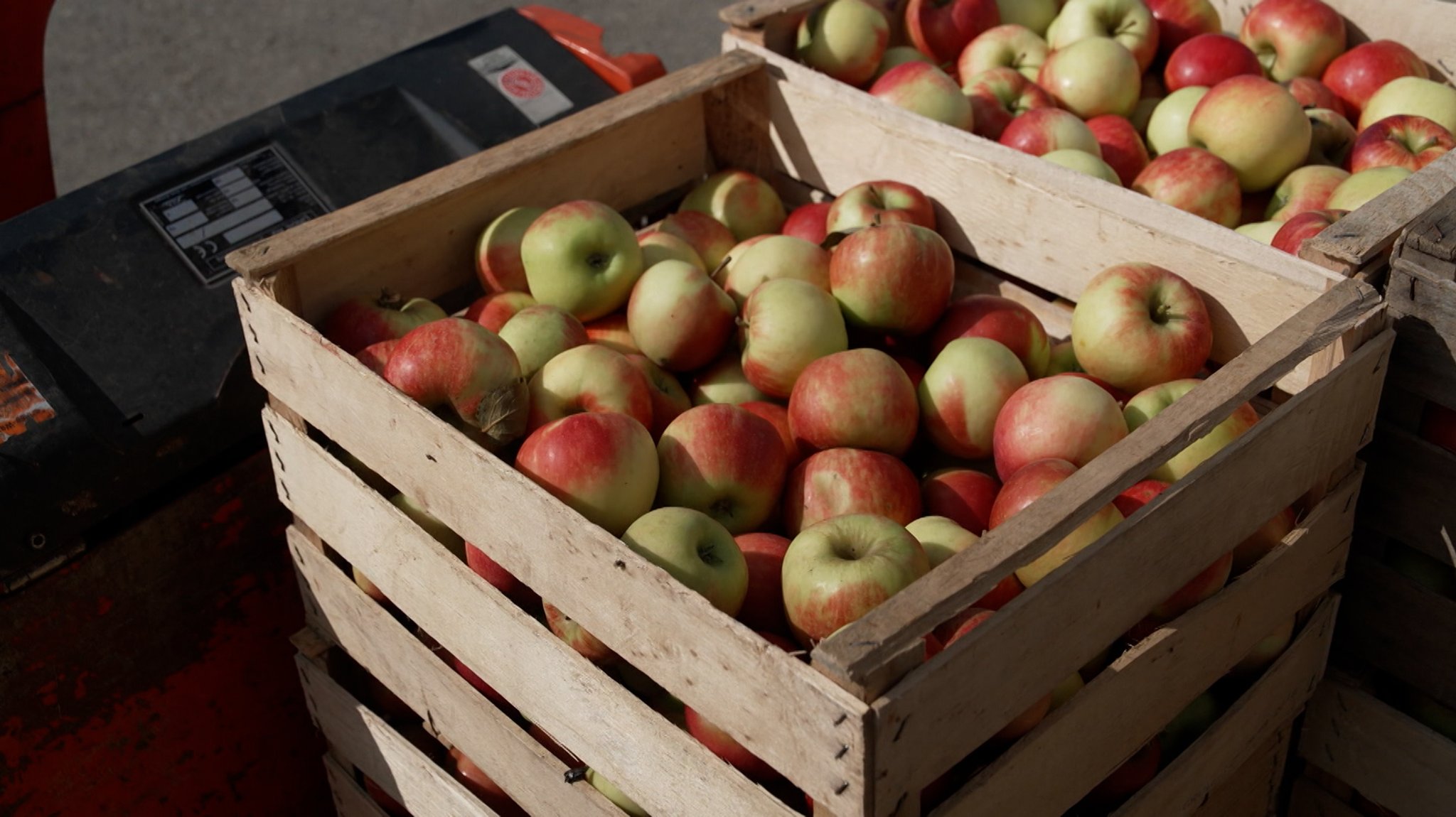 Obstkisten