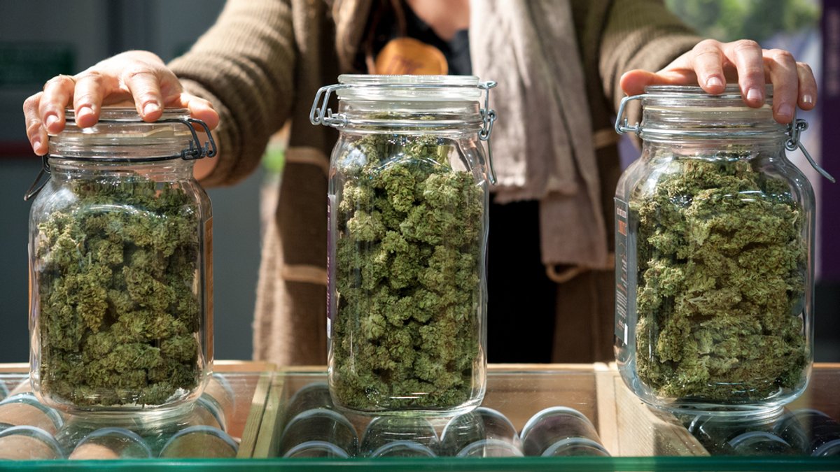 Cannabis-Legalisierung: Welche Details noch immer offen sind