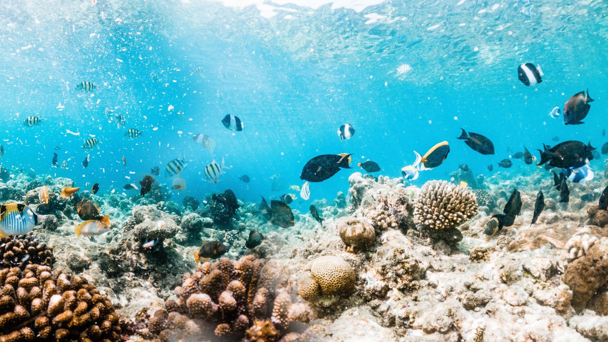 "Positive Kipppunkte": Studie betont Chancen in der Klimakrise