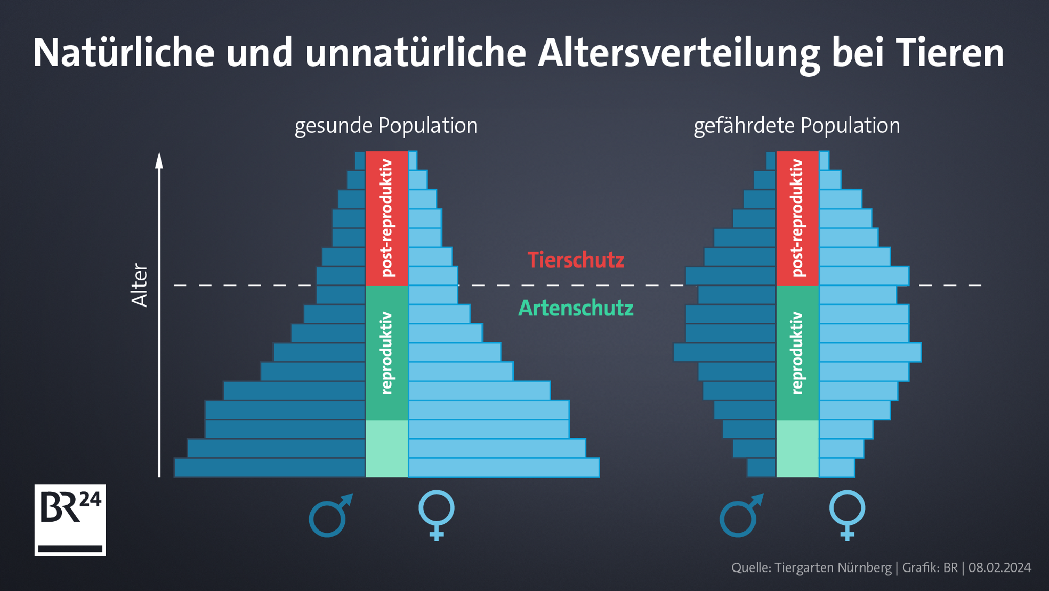 Balkendiagramme zeigen an, wie eine gesunde Population im Vergleich zu einer gefährdeten Population einer Tierart aussieht.