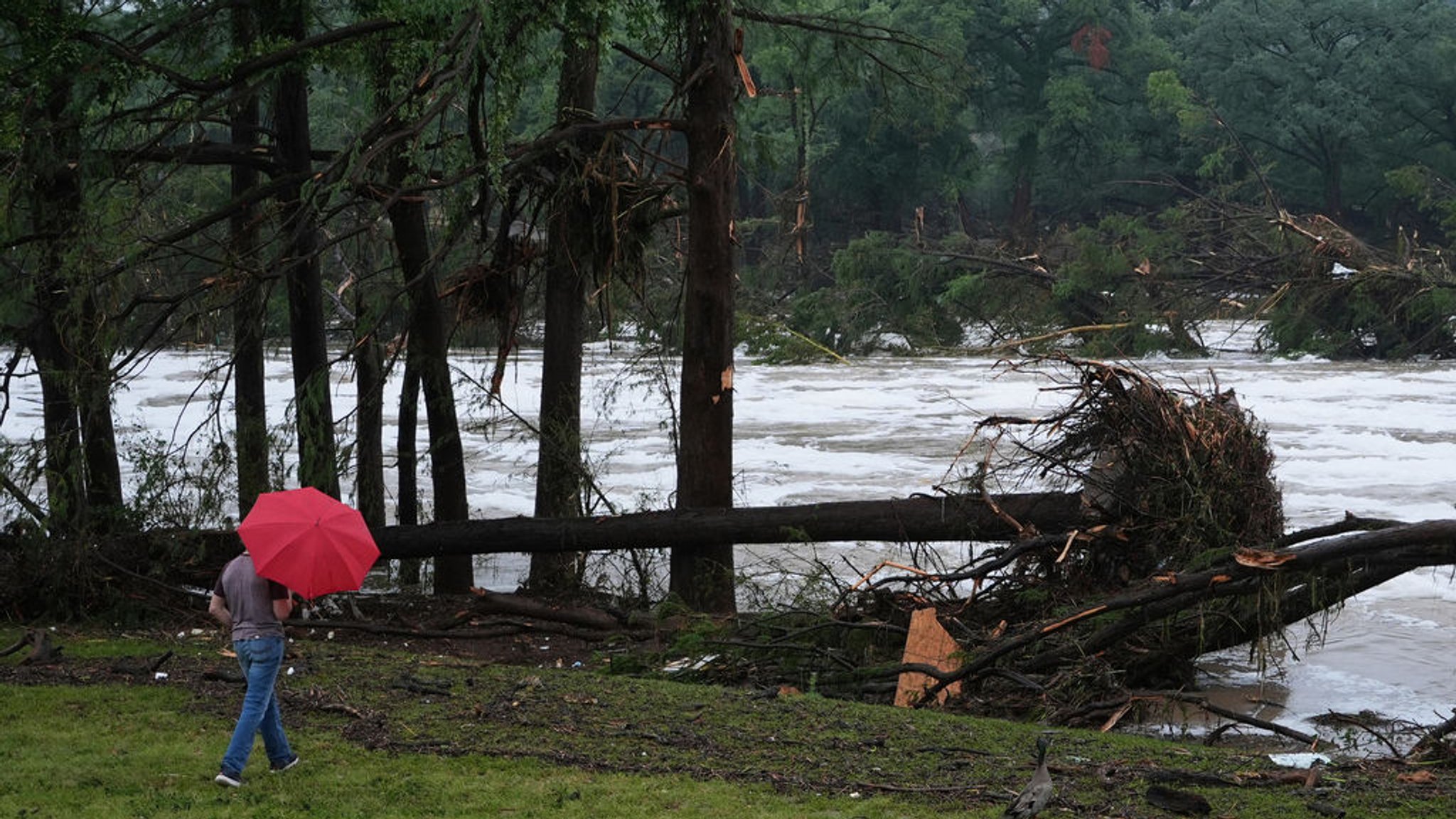 04.07.2025, USA, Kerrville: Ein Mann begutachtet die Schäden, die der reißende Guadalupe River in Kerrville, Texas, hinterlassen hat. Foto: Eric Gay/AP/dpa +++ dpa-Bildfunk +++
