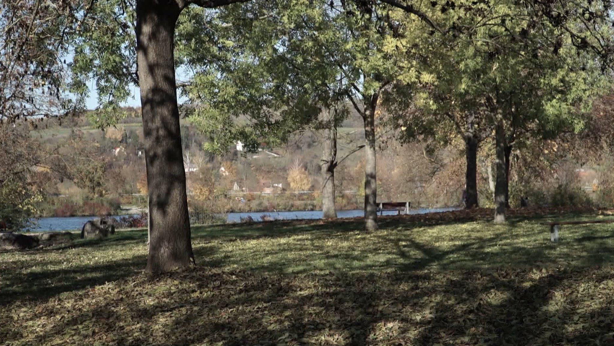 Der Donaupark in Regensburg - zwei Jahre nach einer Vergewaltigung wurde ein Tatverdächtiger gefasst.