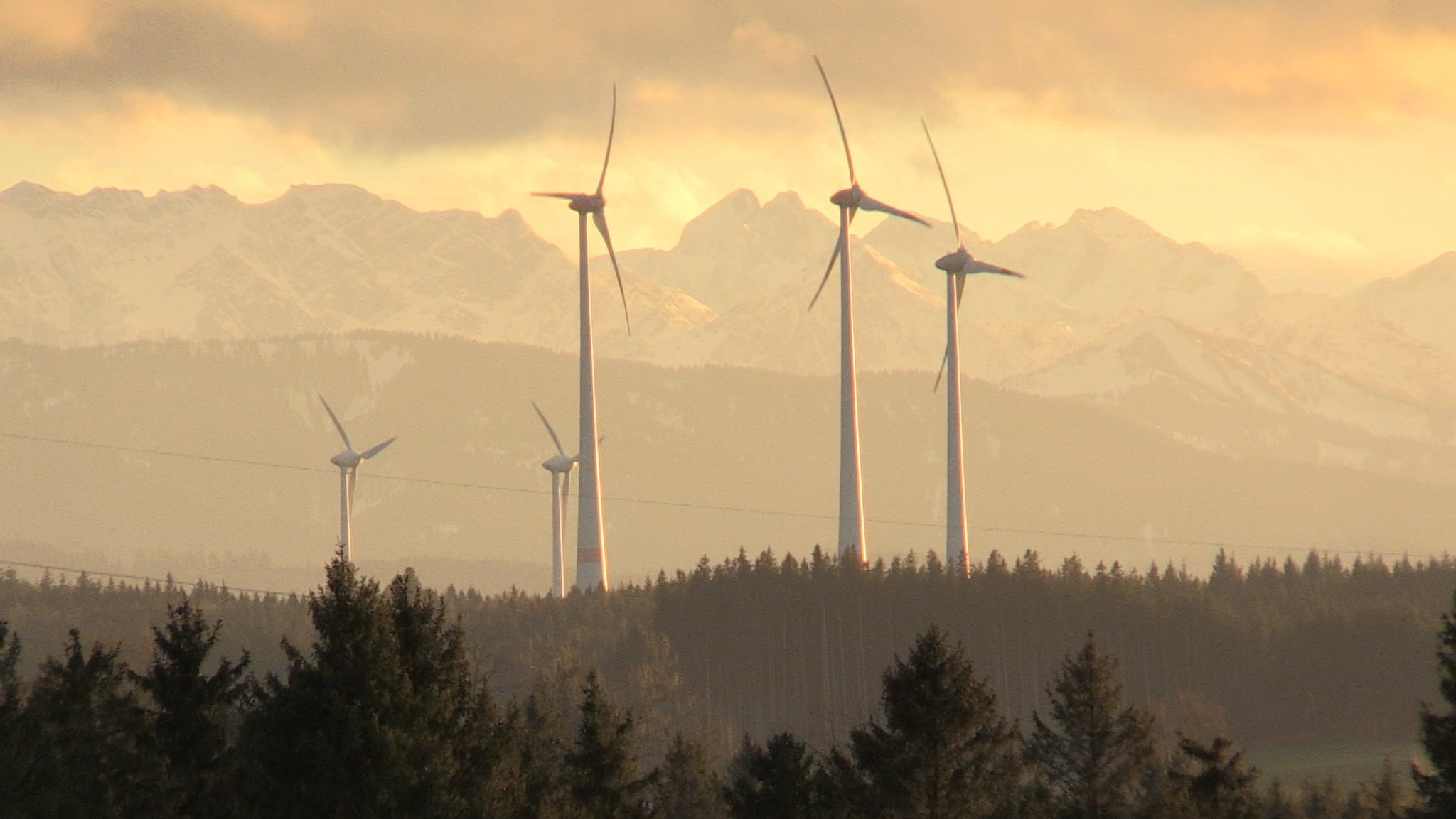 Windräder im Allgäu vor Bergkulisse