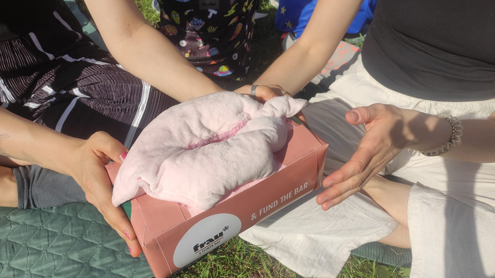 Zu sehen ist eine Spendenbox mit einer Plüschvulva.
