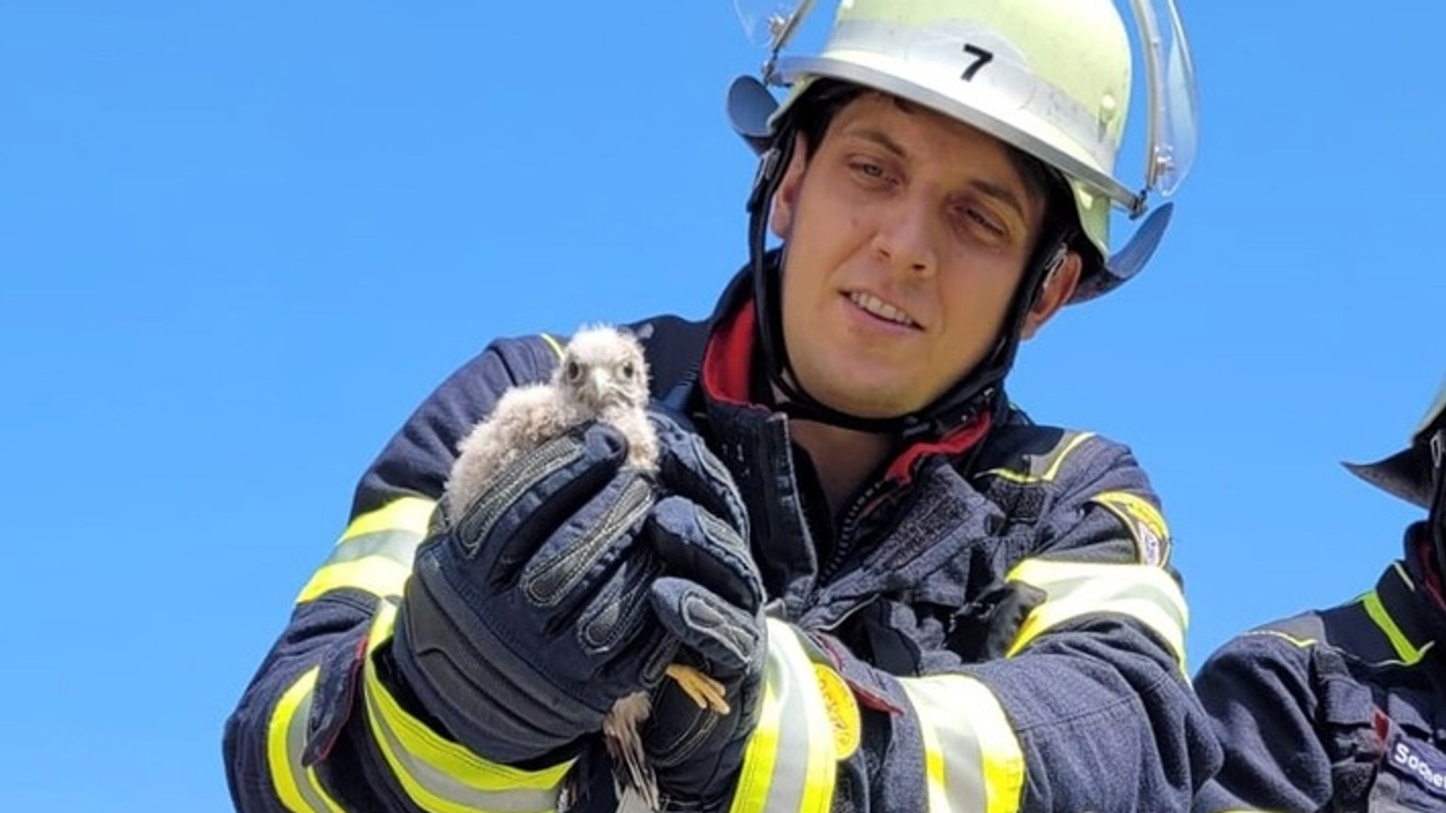 Feuerwehrmann mit jungem Turmfalken