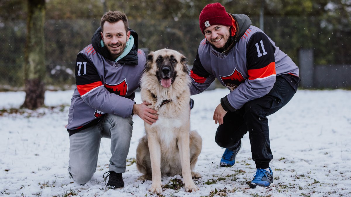 Ein Hund sitzt im Schnee zwischen zwei lächelnden Eishockeyspielern der Nürnberg Bears. 