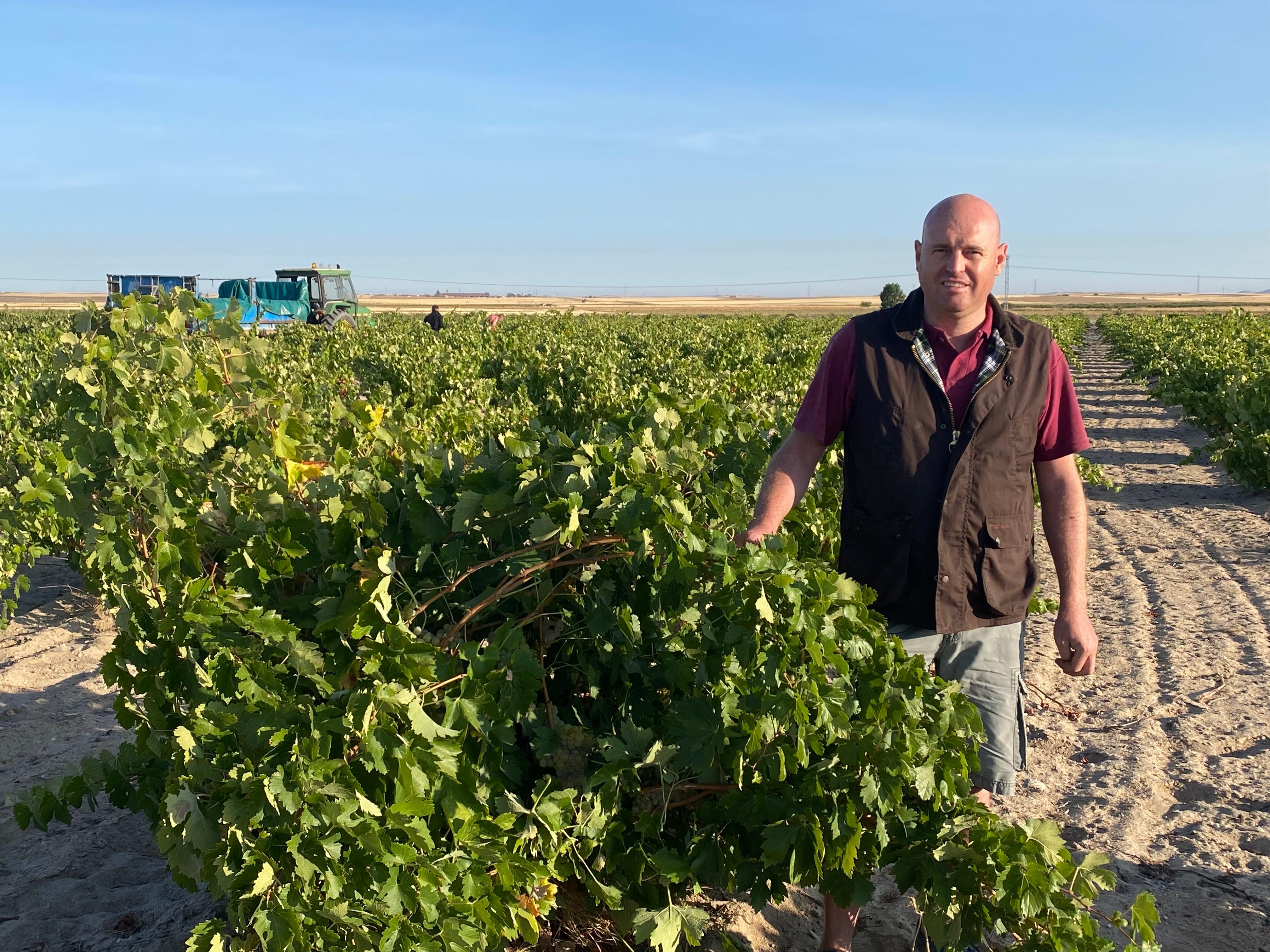 Winzer Ivan Alsonso Gil hat über 80 Jahre alte Buschreben in der Weinbauregion Toro.