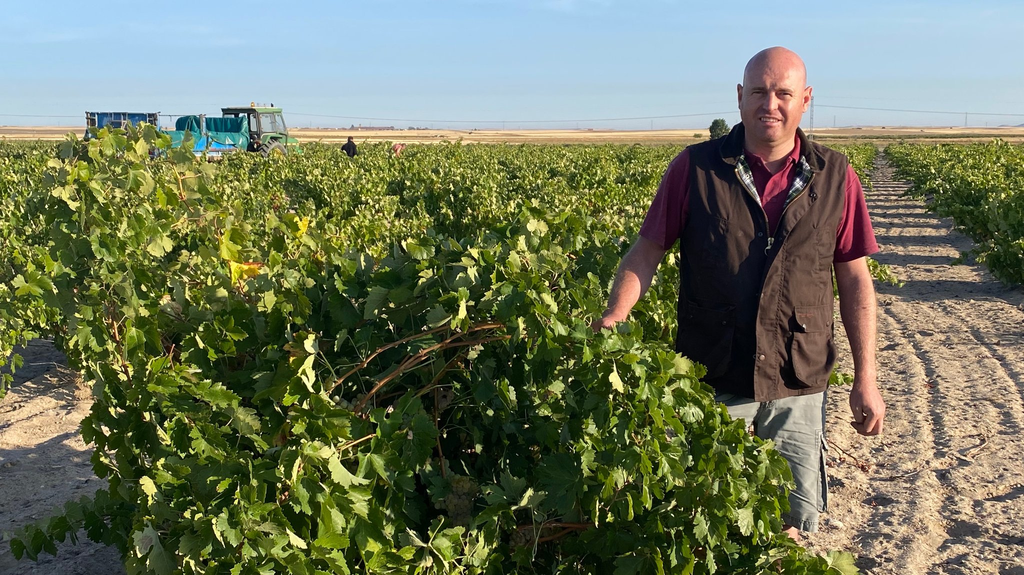 Winzer Ivan Alsonso Gil hat über 80 Jahre alte Buschreben in der Weinbauregion Toro. | Bild: BR/Cornelia Benne Winzer Ivan Alsonso Gil hat über 80 Jahre alte Buschreben in der Weinbauregion Toro.