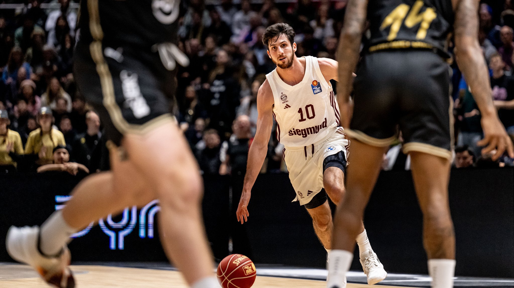 Spielmacher Leando Bolmaro im Spiel bei den Basketball Löwen Braunschweig