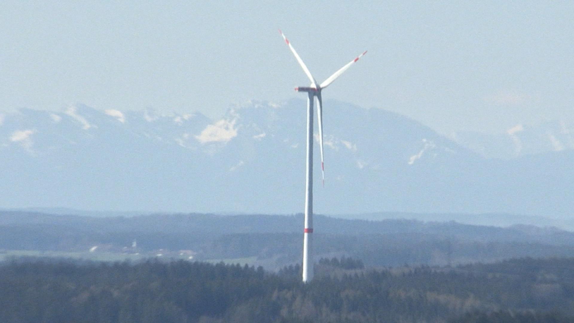 Windräder im Wald - Sinnvoll oder Gefahr für Artenschutz? 