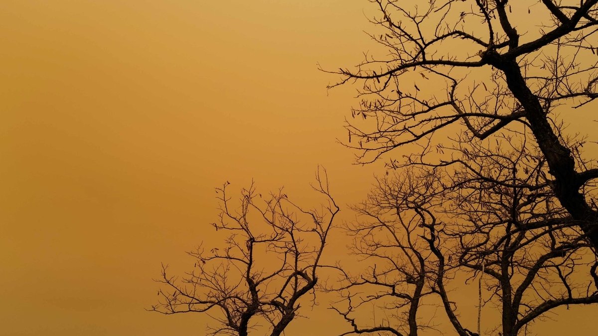 Manchmal bringen Winde so viel Saharastaub zu uns, dass sich der Himmel gelb oder rötlich verfärbt