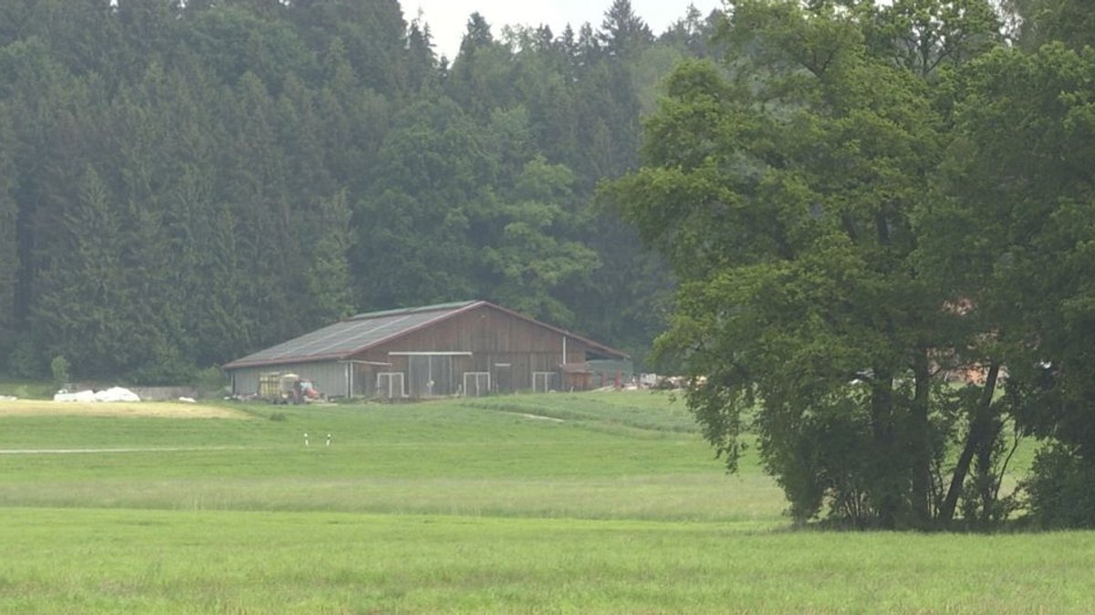 Ein Kuhstall am Waldrand bei Rimsting von Weitem aufgenommen, rechts im Vordergrund eine Baumgruppe, davor Wiesen (Archivbild).