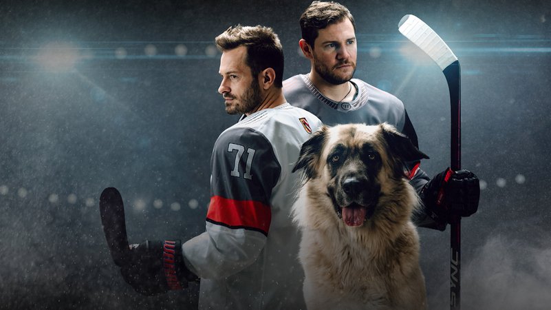 Hündin Mira mit zwei Eishockeyspielern auf einem Plakat | Bild: BR Hündin Mira mit zwei Eishockeyspielern auf einem Plakat
