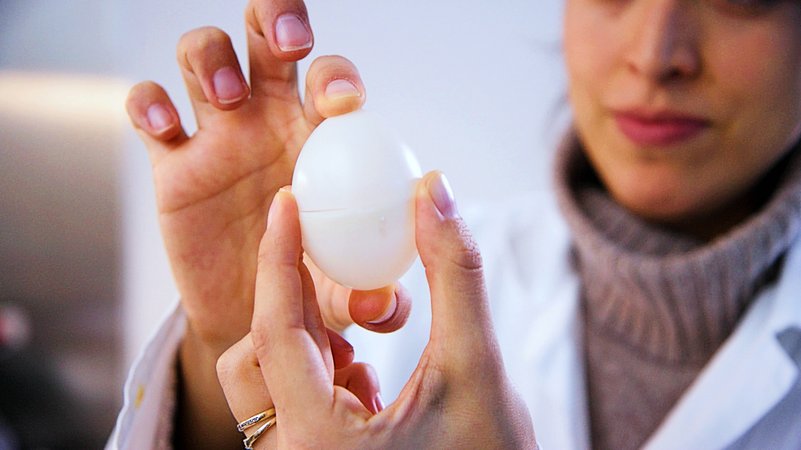 Veganen Ersatz für Eier zu finden, war bisher schwierig. Deswegen forscht die TU München an veganen Eiern, die alle Eigenschaften eines "echten" Eis haben.