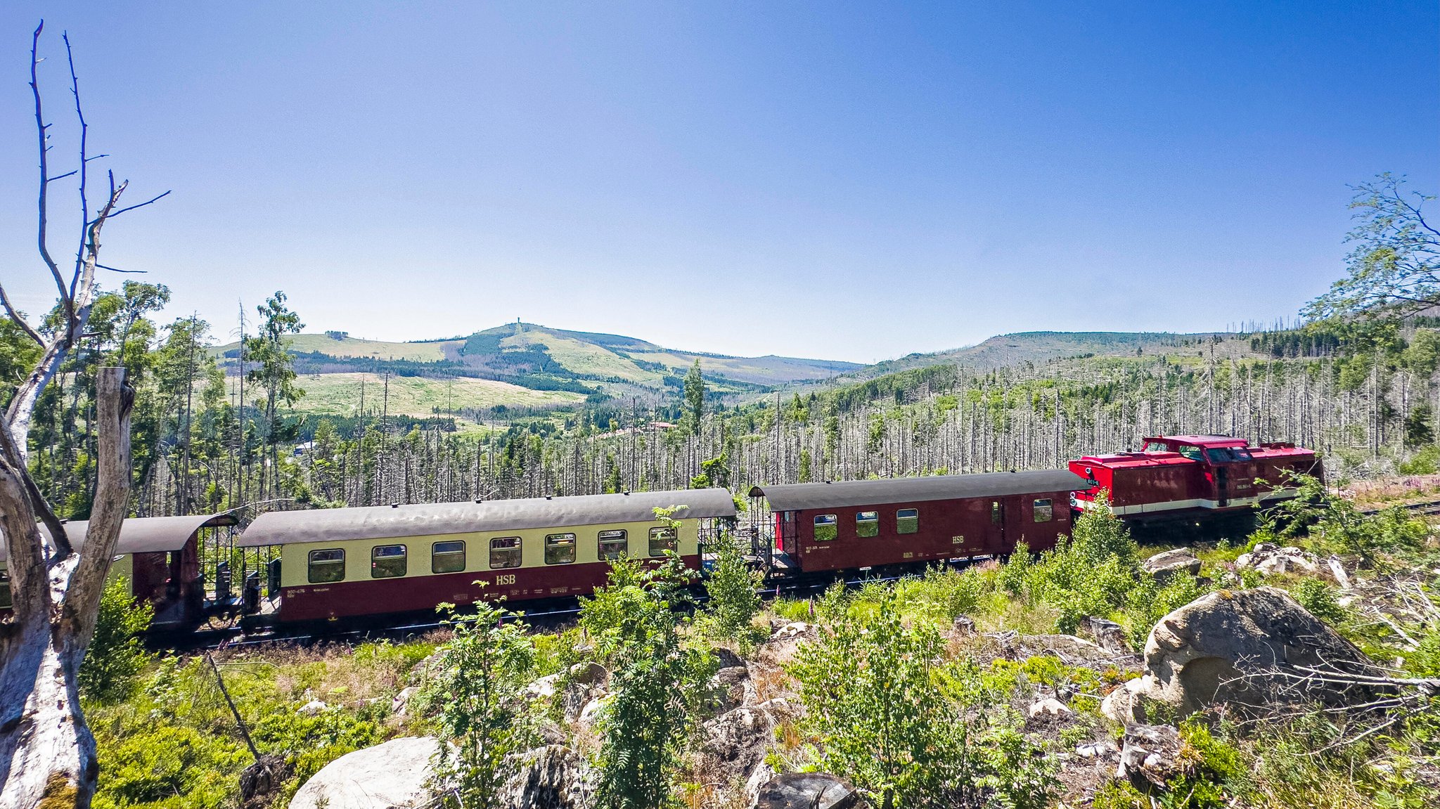 Zug der Harzer Schmalspurbahn inmitten abgestorbener Fichten. Im Hintergrund der Brocken. | Bild: picture alliance / CTK | Libor Sojka Zug der Harzer Schmalspurbahn inmitten abgestorbener Fichten. Im Hintergrund der Brocken.