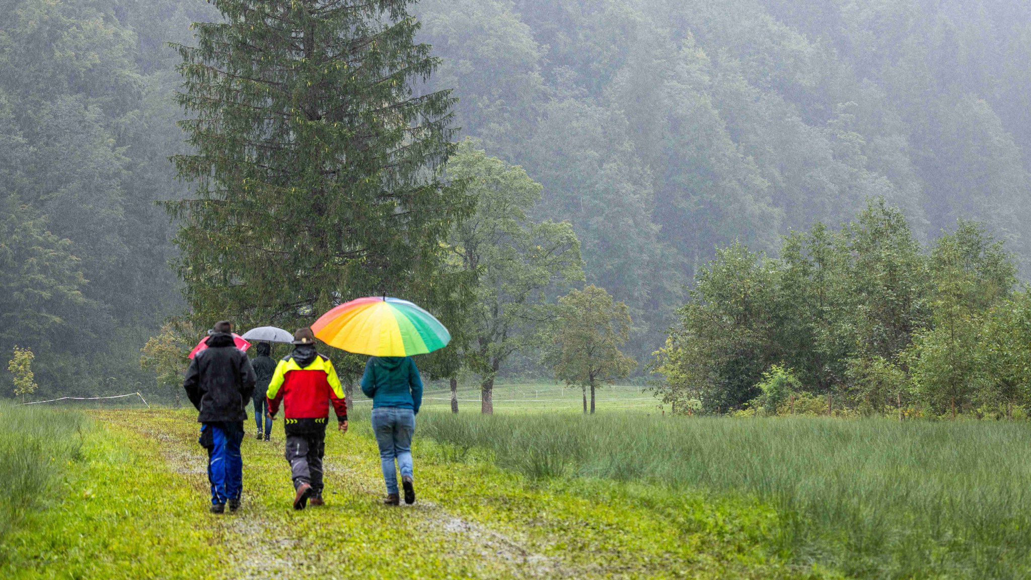 Archivbild: Dauerregen bei Oberstdorf