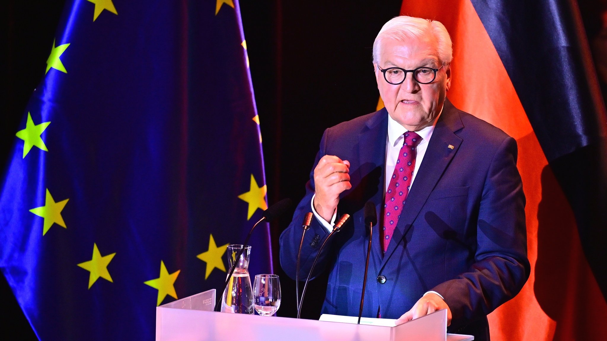Steinmeier ruft zum Einsatz für die Demokratie auf