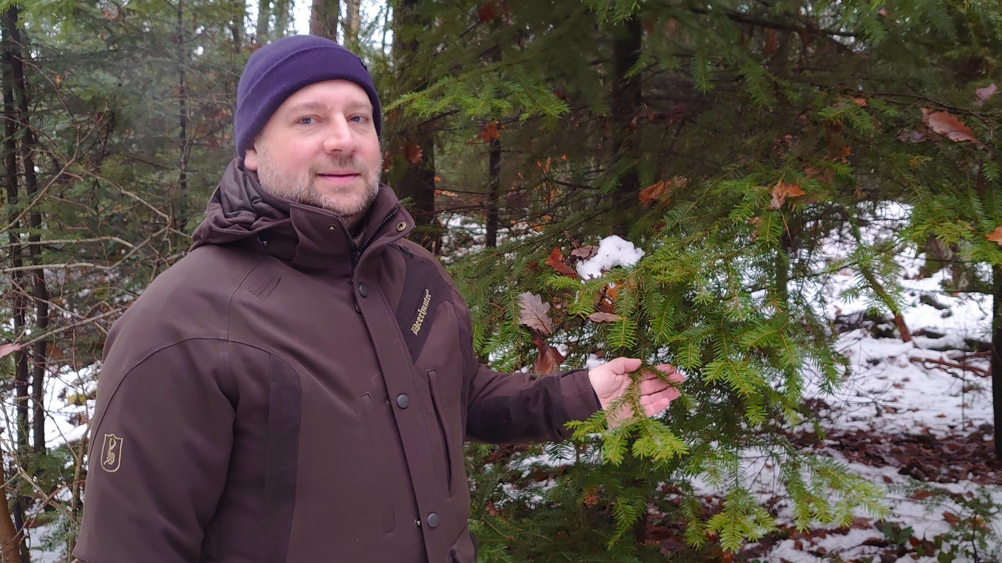 Forstamtsleiter Johannes Wurm steht vor einer Tanne am Nürnberger Schmausenbuck.