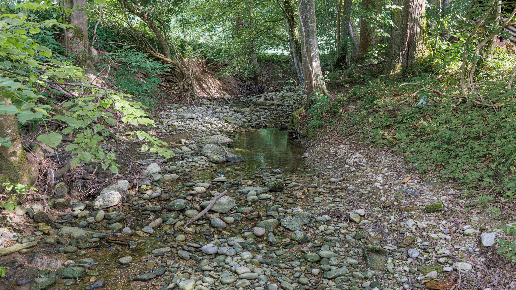 Trockener Quellbach im Isental 